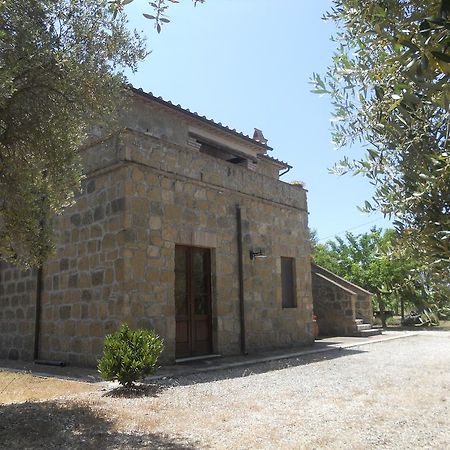 Agriturismo Tenuta Roccaccia Питиляно Екстериор снимка