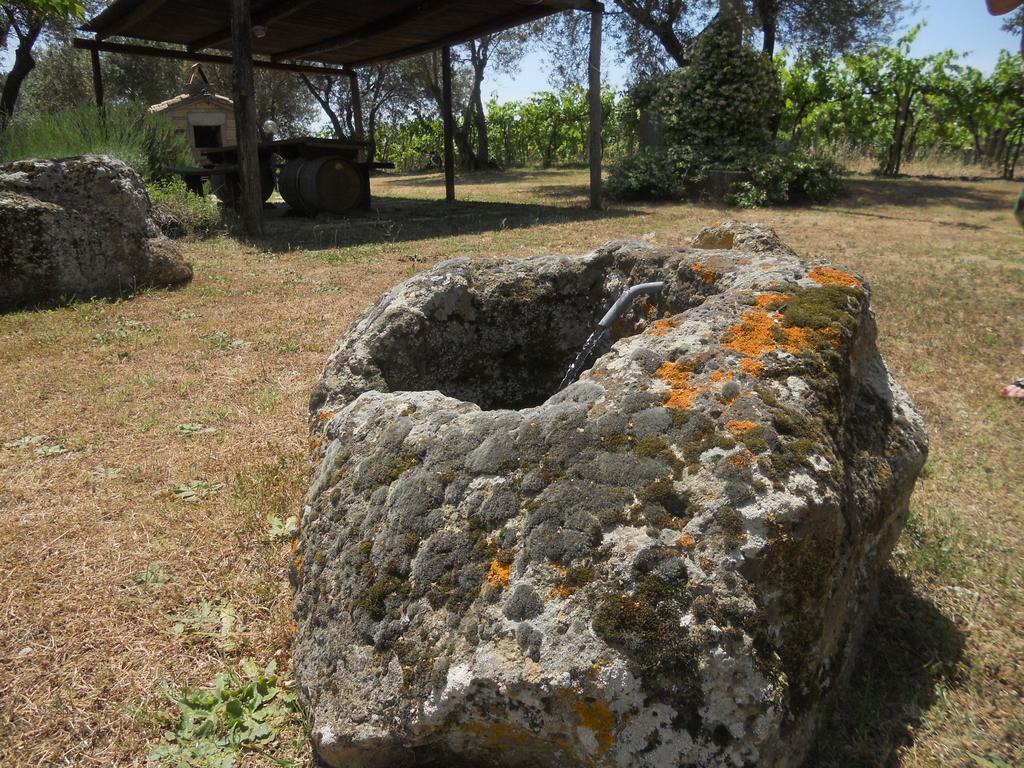 Agriturismo Tenuta Roccaccia Питиляно Екстериор снимка