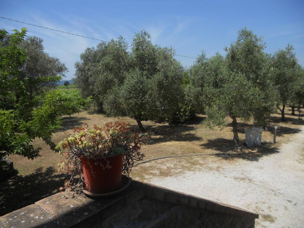 Agriturismo Tenuta Roccaccia Питиляно Екстериор снимка
